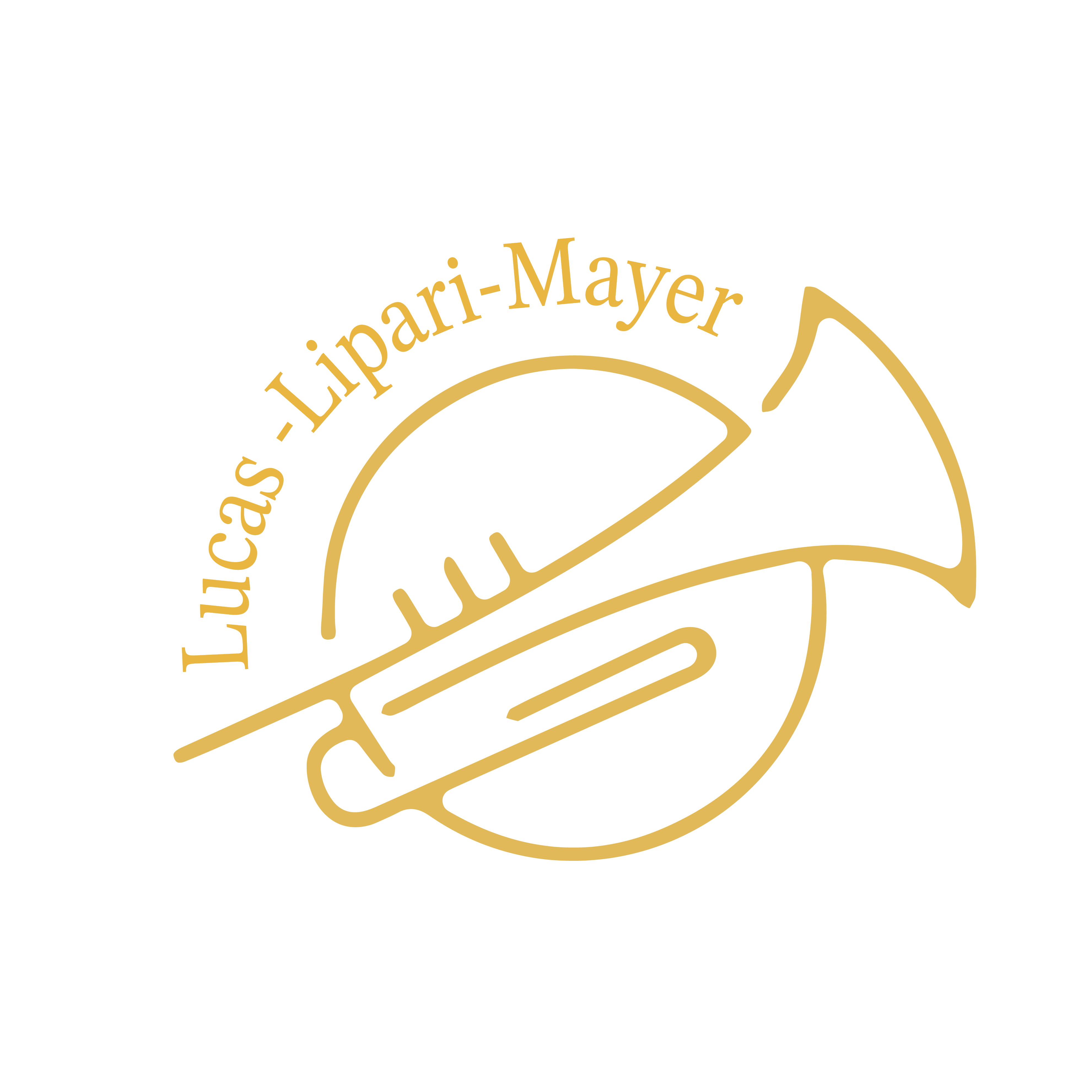 Lucas Lipari-Mayer